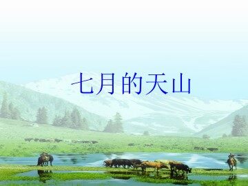 七月的天山_课件3