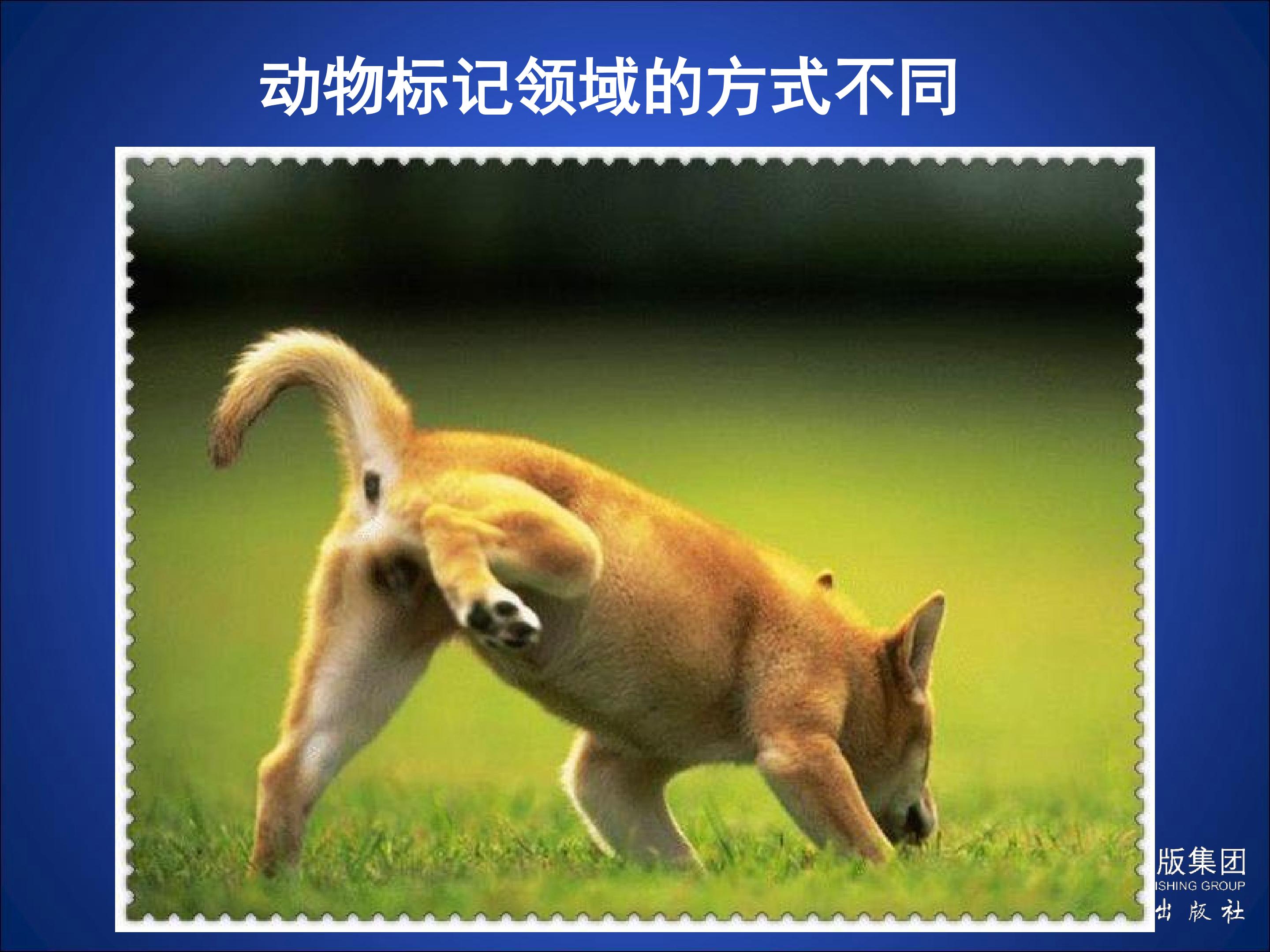 60.jpg