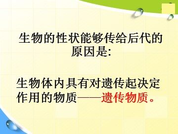 第1节  DNA是主要的遗传物质