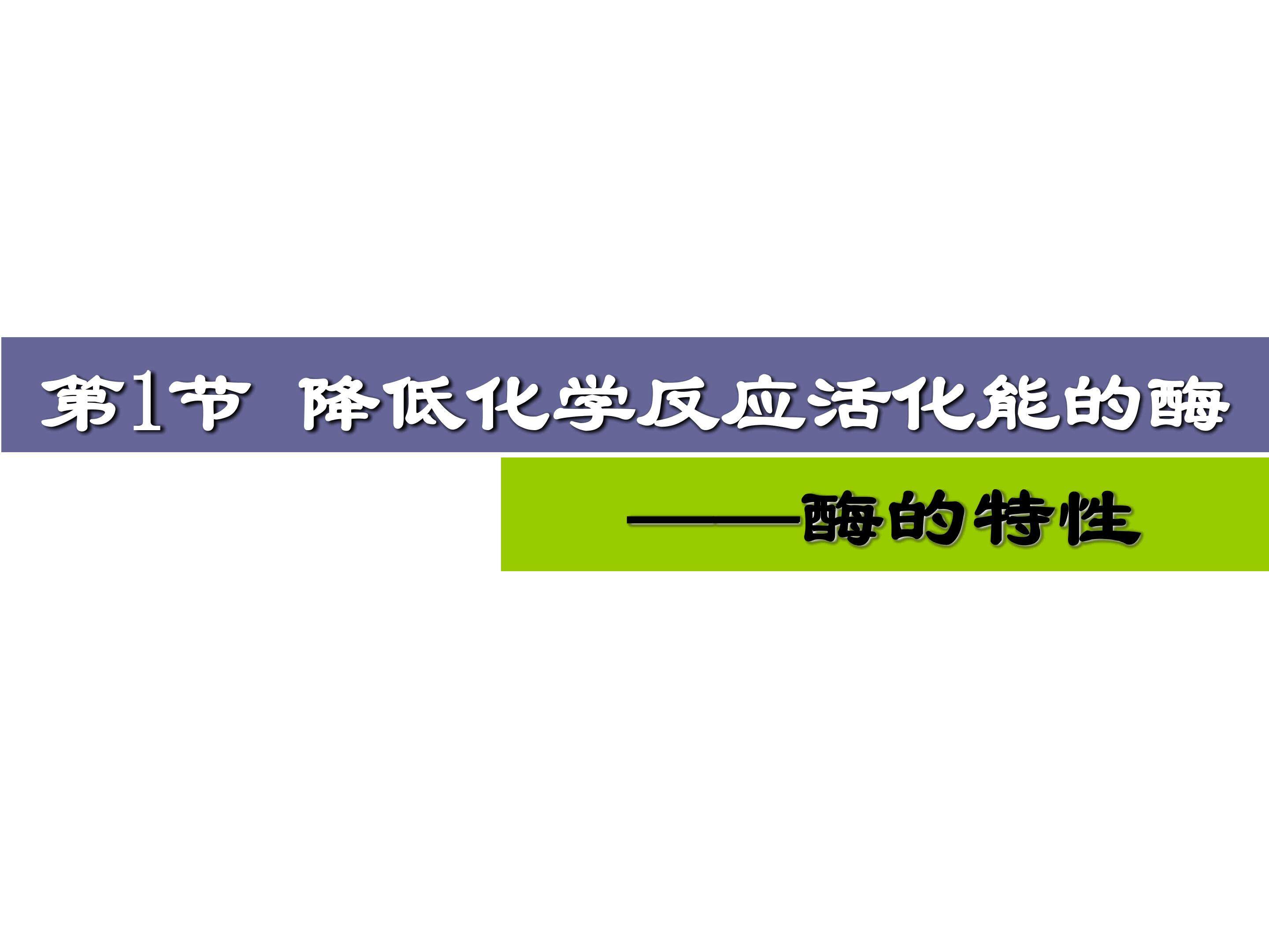 酶的特性