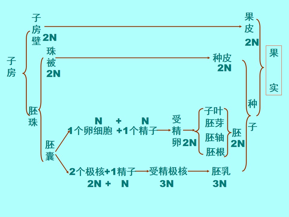 59.jpg
