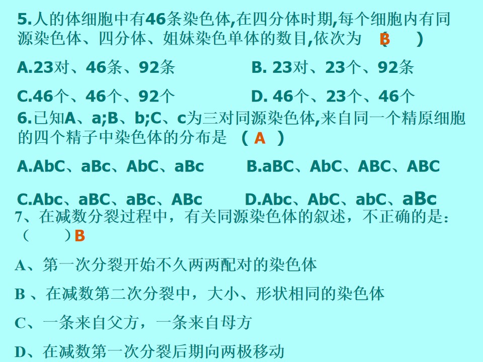 63.jpg