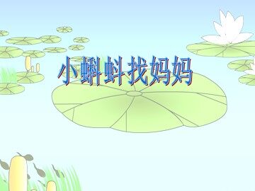 1  小蝌蚪找妈妈