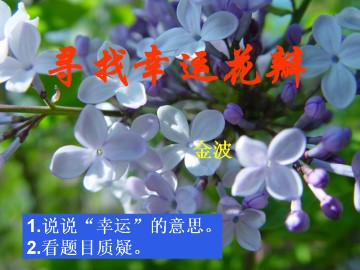 寻找幸运花瓣_课件1