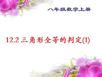 信息技术应用   探究三角形全等的条件