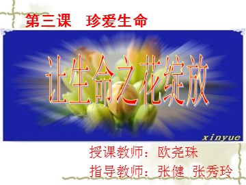 让生命之花绽放（课件）
