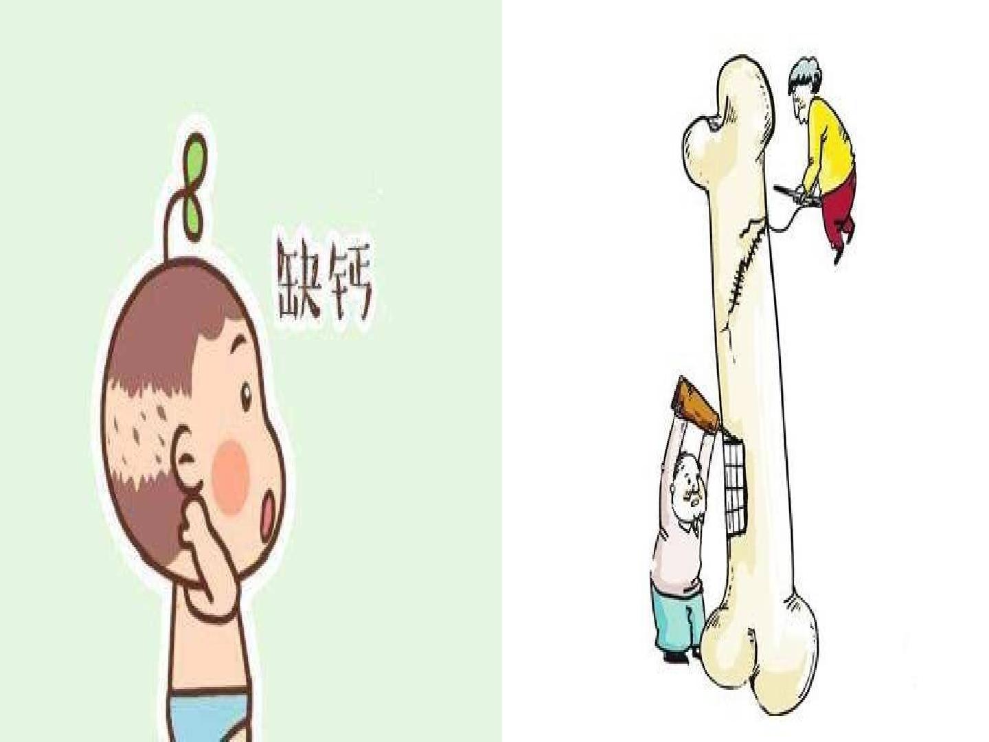 18.jpg