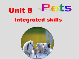 Unit 8 Integrated skills