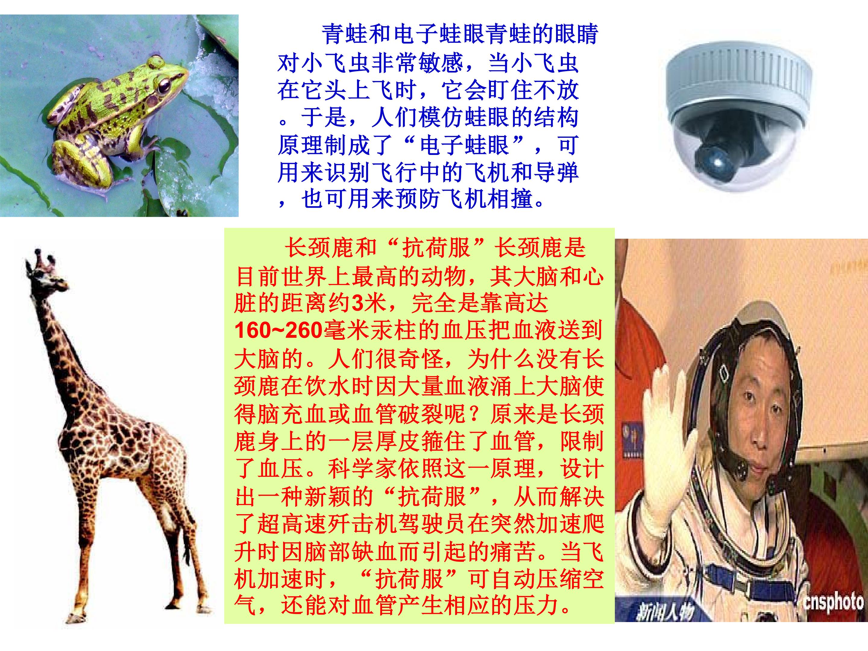 54.jpg