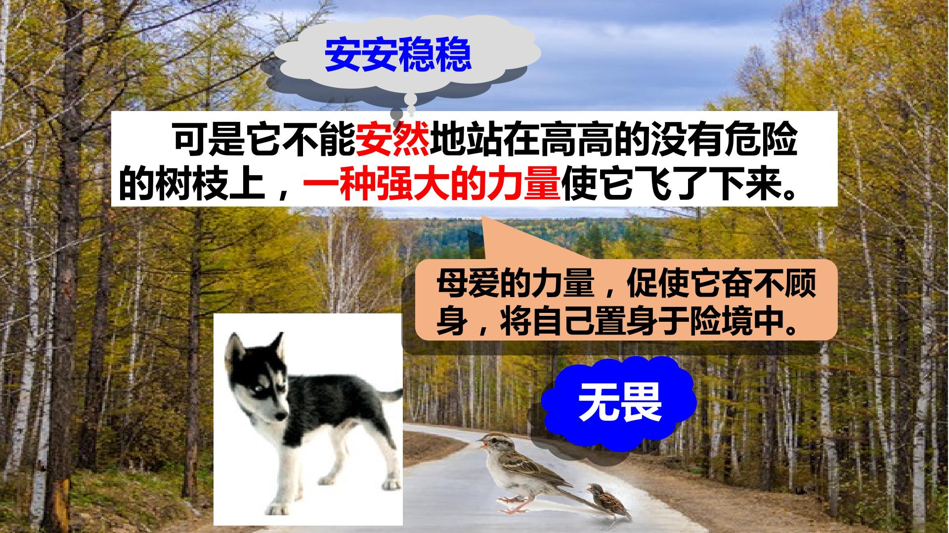 15.jpg