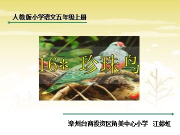 《珍珠鸟》PPT