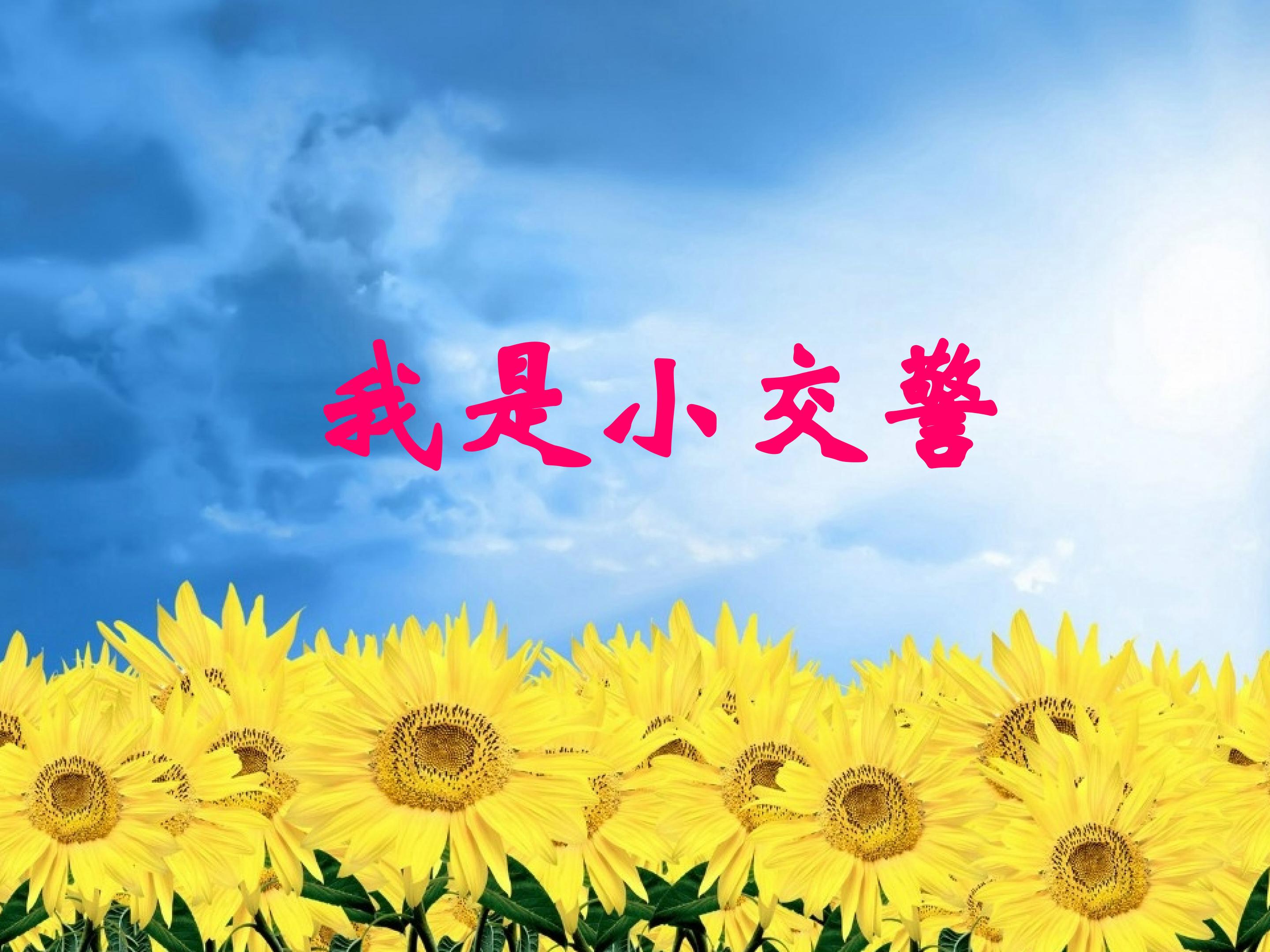 我是小交警