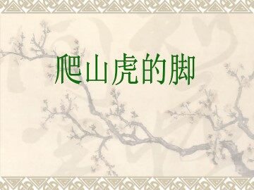 爬山虎的脚_课件4