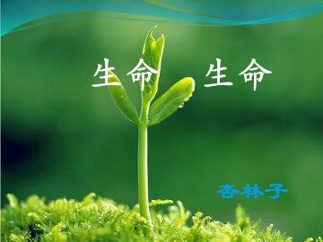 19 生命 生命
