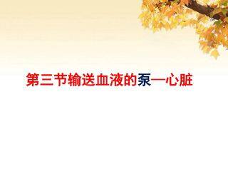输送血液的泵------心脏