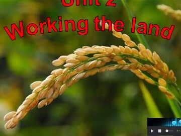 Unit 2 Working the land