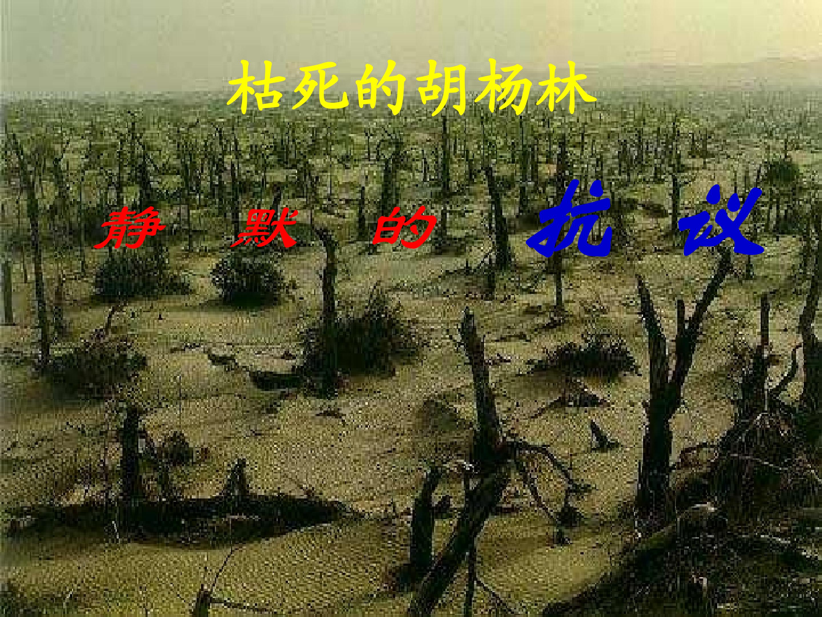 32.jpg