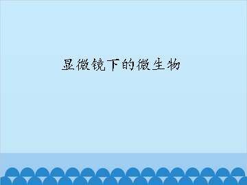 显微镜下的微生物_课件1