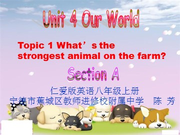 Unit 4 Topic 1 Section A公开课