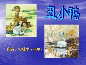 28 丑小鸭 