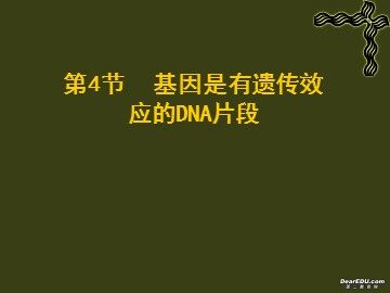 生物高中必修2第三章第四节课件1