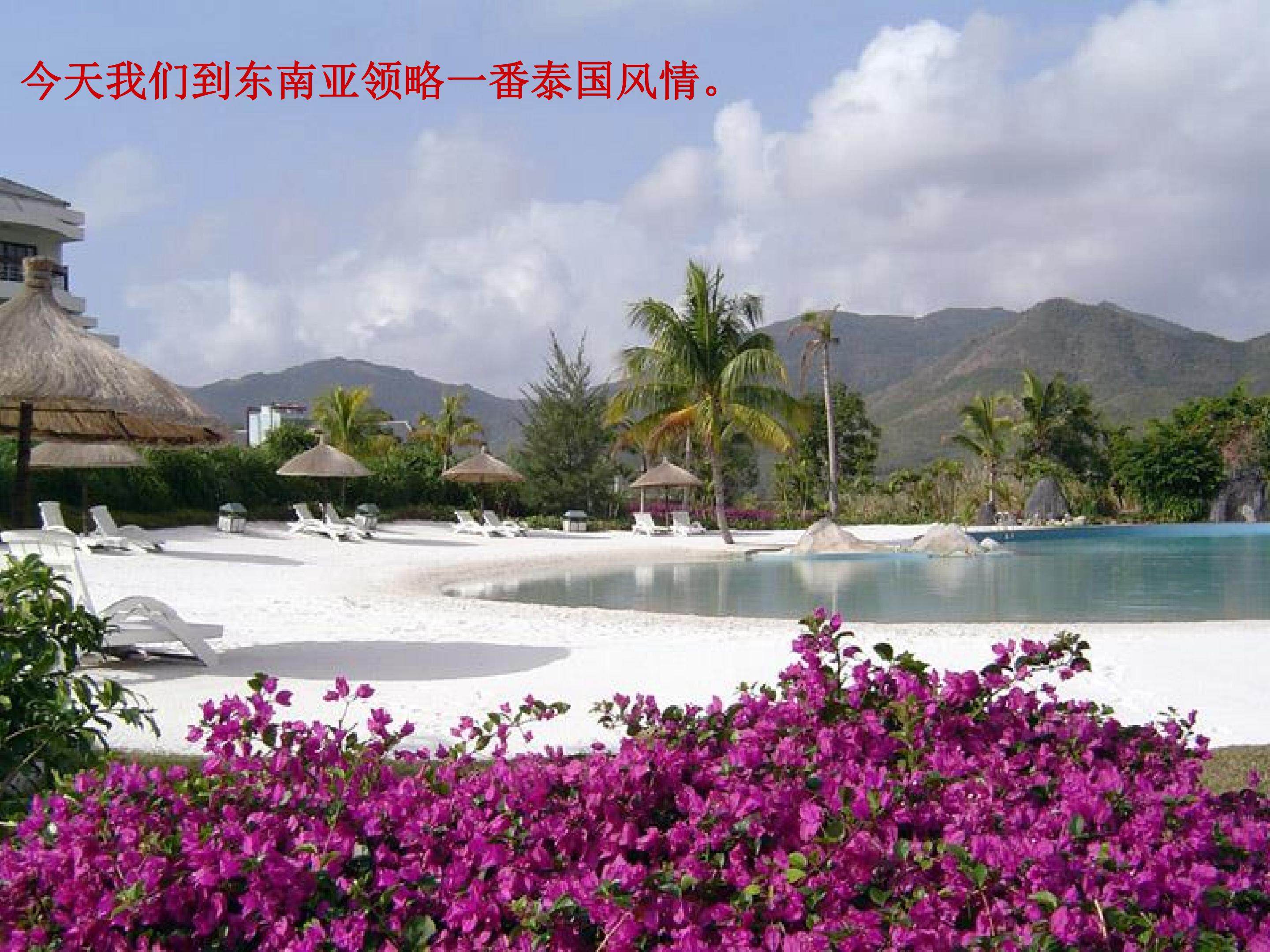 《与象共舞》