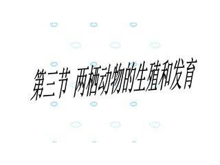 两栖类的生殖与发育