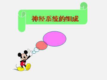 神经系统的组成_课件3