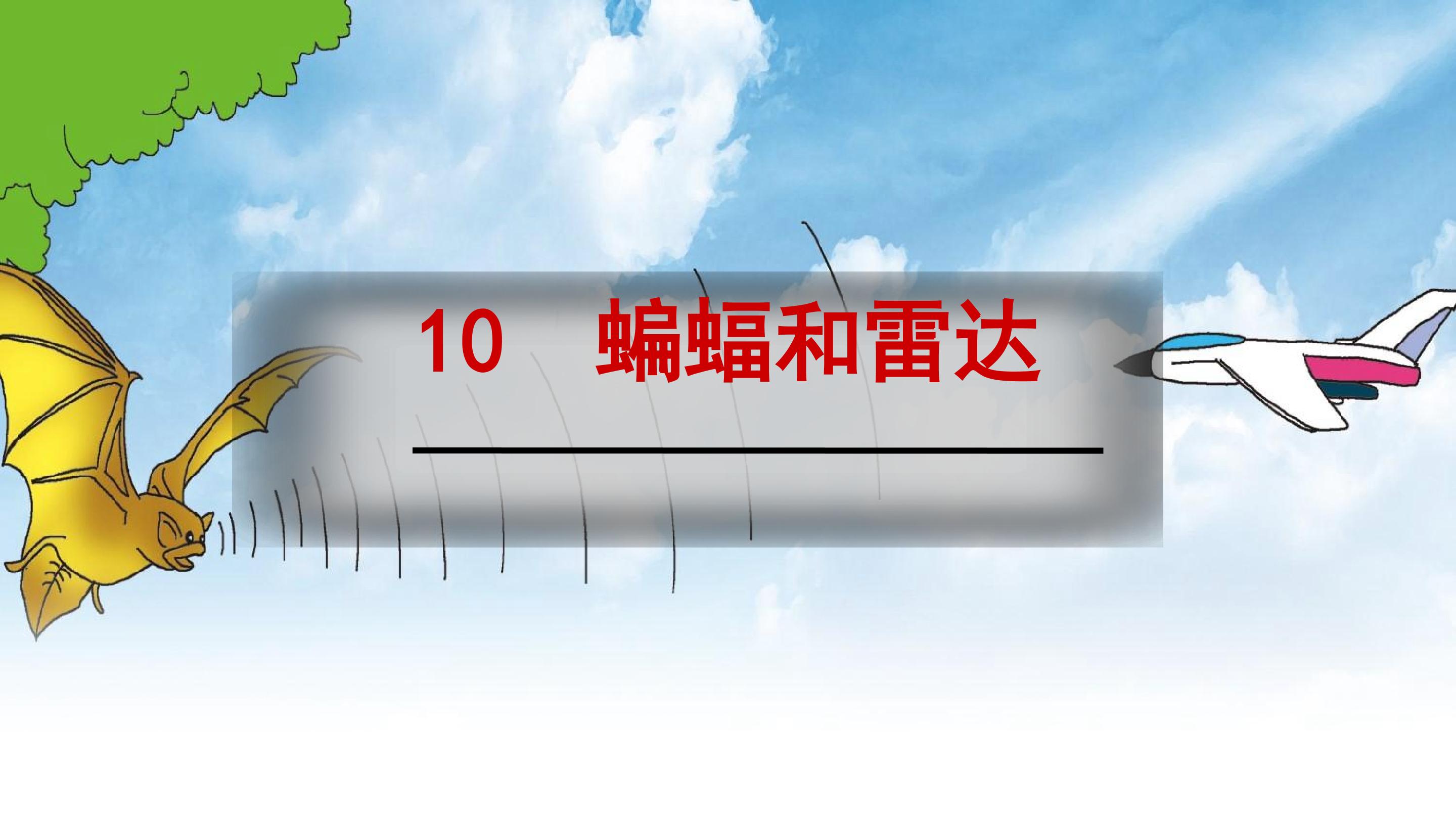 《蝙蝠和雷达》