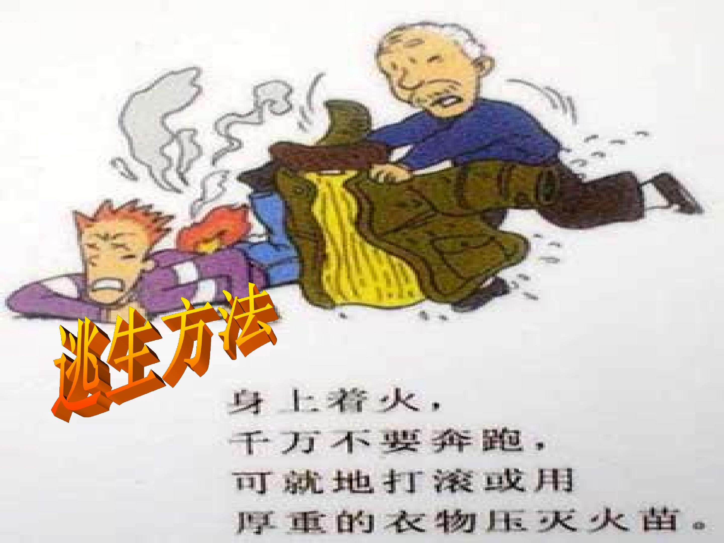 25.jpg