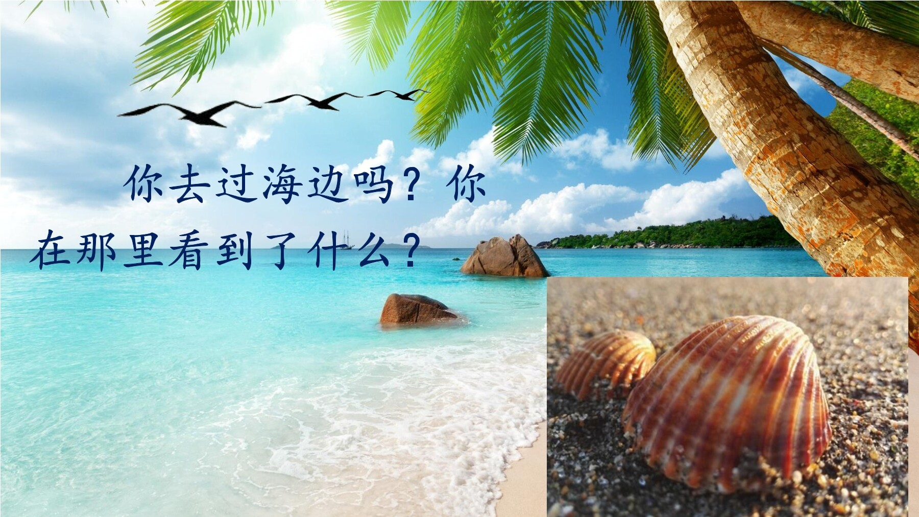 识字3“贝”的故事
