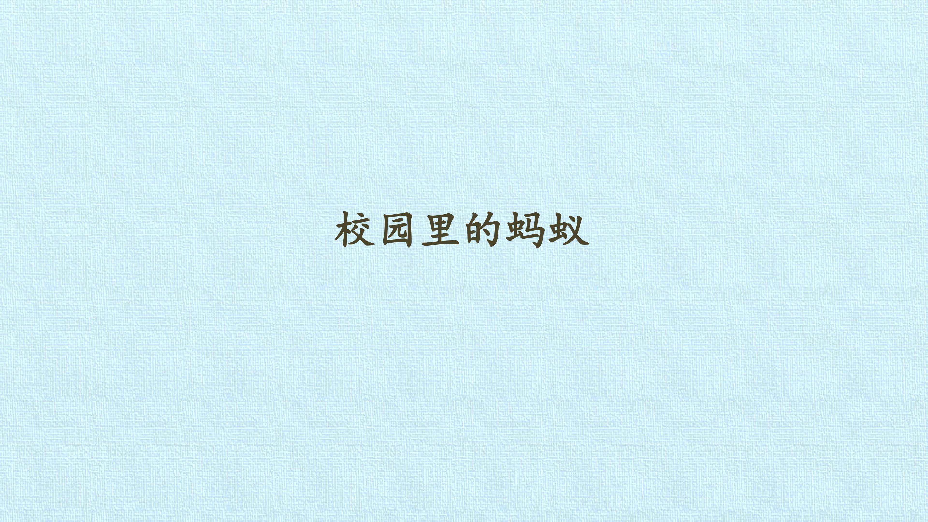 校园里的蚂蚁