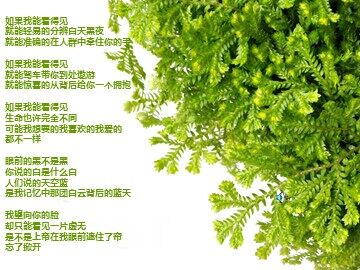 29 *盲孩子和他的影子