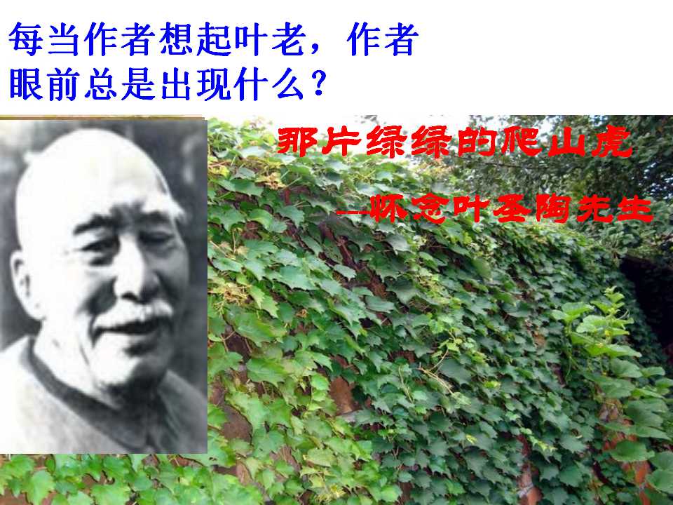 58.jpg