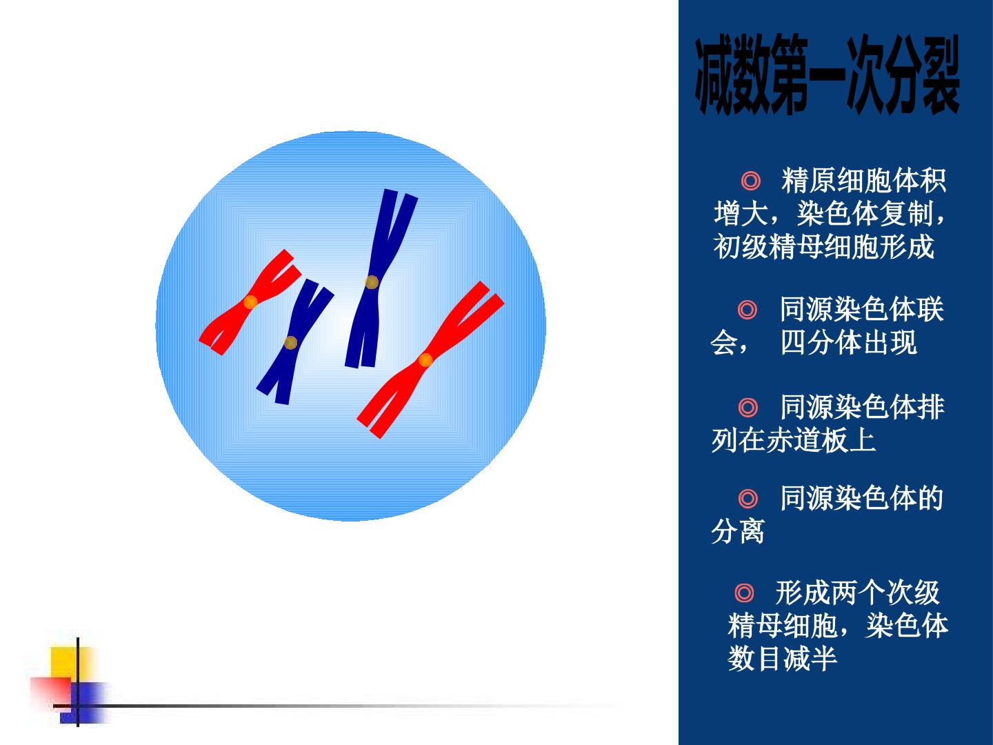 85.jpg