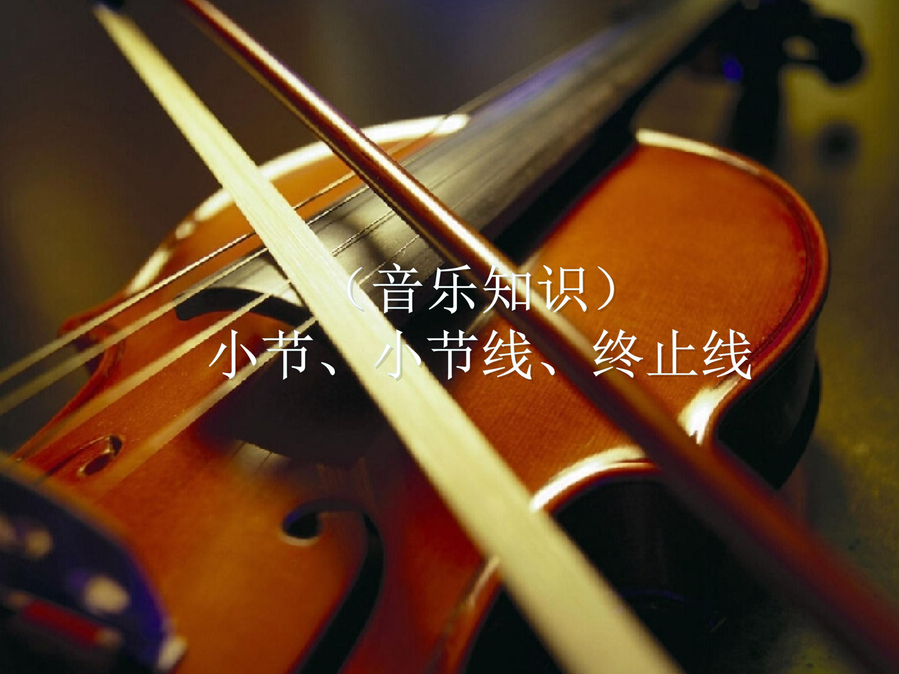 （音乐知识）小节 小节线 终止线_课件1