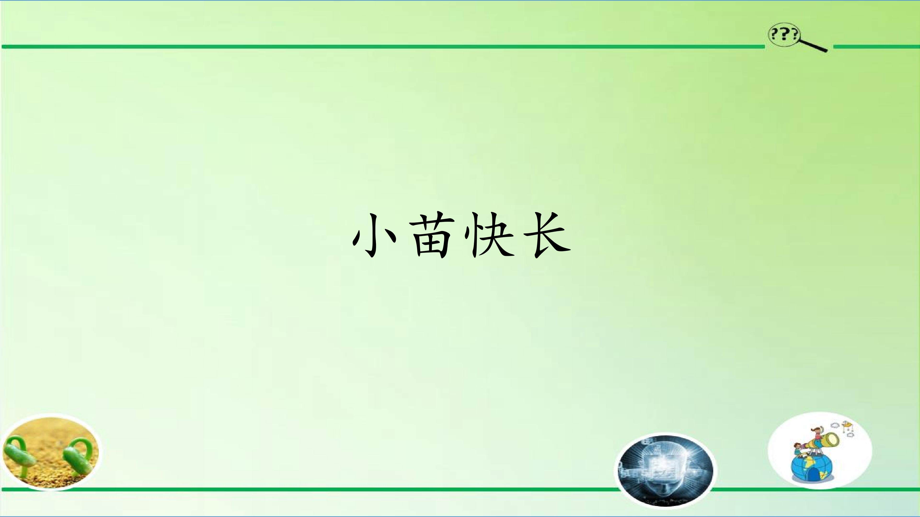 小苗快长