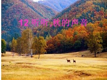 12_ 听听，秋的声音