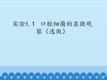 实验1.1  口腔细菌的显微观察（选做）_课件1
