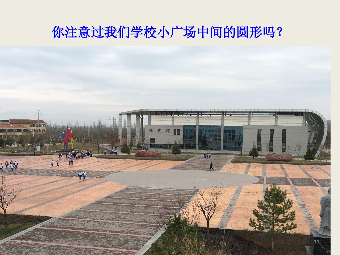 11.jpg