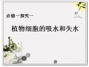 第1节  物质跨膜运输的实例