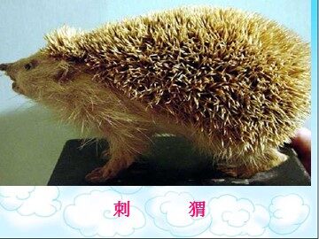 18 称赞 