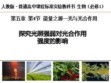 二  光合作用的原理和应用