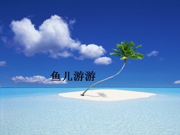鱼儿游游_课件1