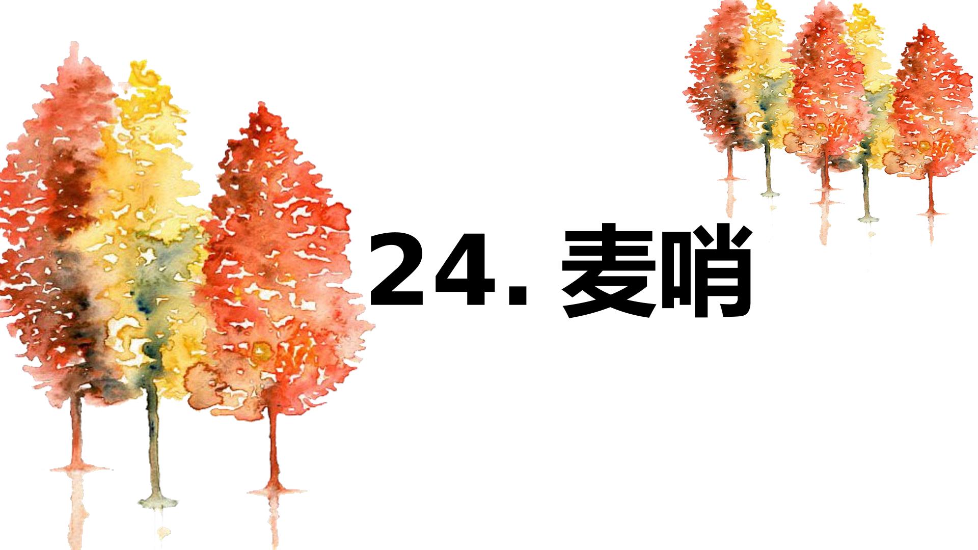 24*　麦哨