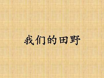 我们的田野_课件1
