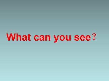 What can you see？_课件1