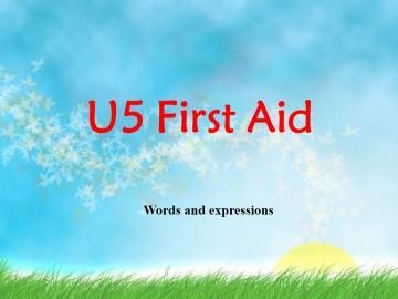 First aid_课件51