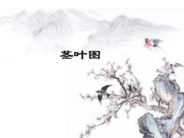 茎叶图_课件1