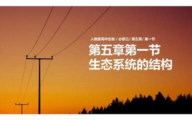 生态系统的结构